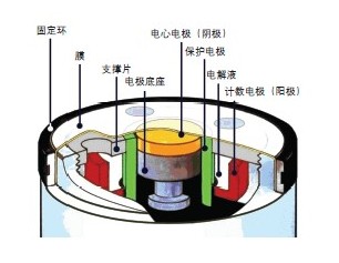 Orbisphere510 微量溶解氫分析儀 電極結(jié)構(gòu)